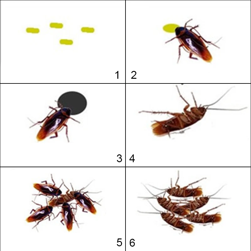 5 шт., средство для уничтожения тараканов, средство для борьбы с вредителями, порошок для тараканов, средство от насекомых, яд