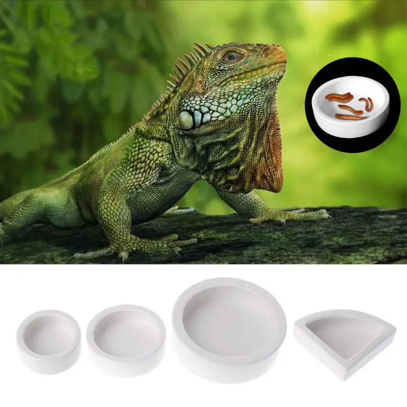 Multi functional Ceramics Reptile Feeder Water Food Dish Feeding Bowl
