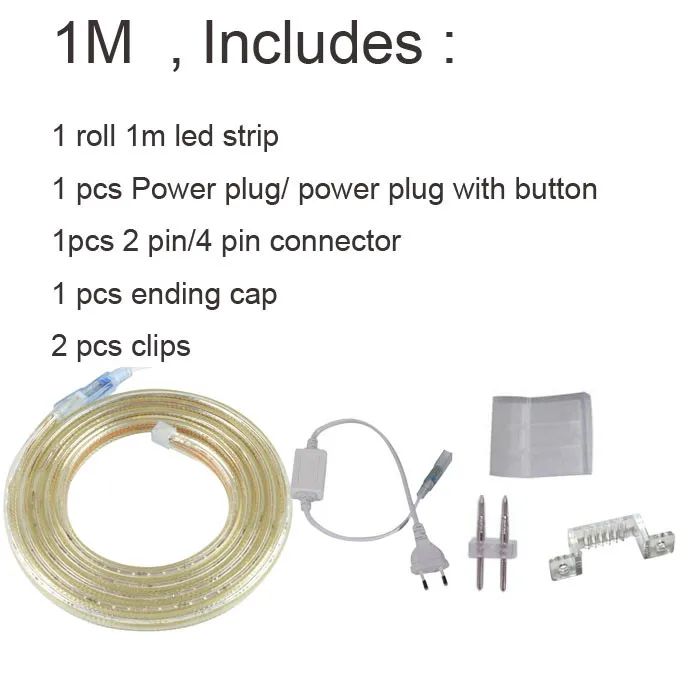 1M