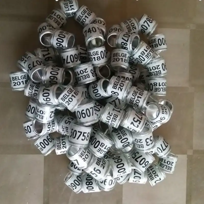 Pigeon pé anel com palavra brincos multicolorido 10 pçs qualidade durável pássaro anel faisão pé anel pássaro ferramentas atacado