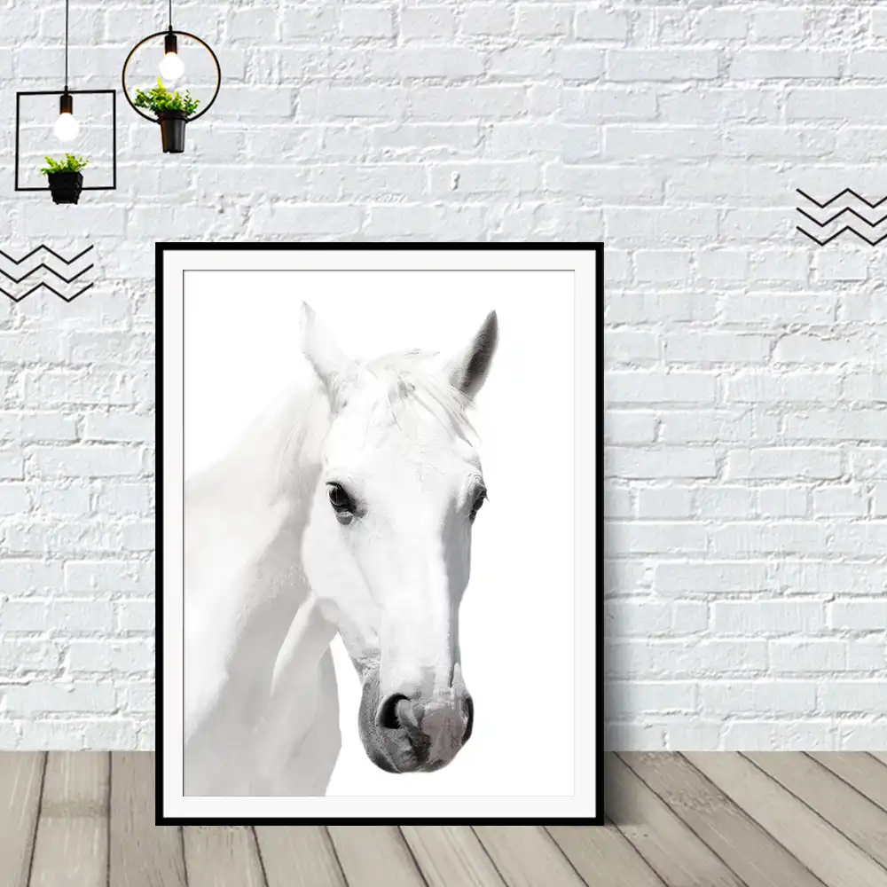 Impresion De Caballo Blanco Y Negro Caballo Escandinavo Caballo