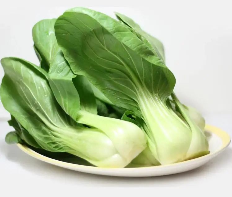 1 pack 300pcs Pak Choi Bok Choy Chinese Cabbage Seeds,shanghai cabbage