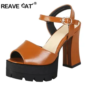 cat sandals price