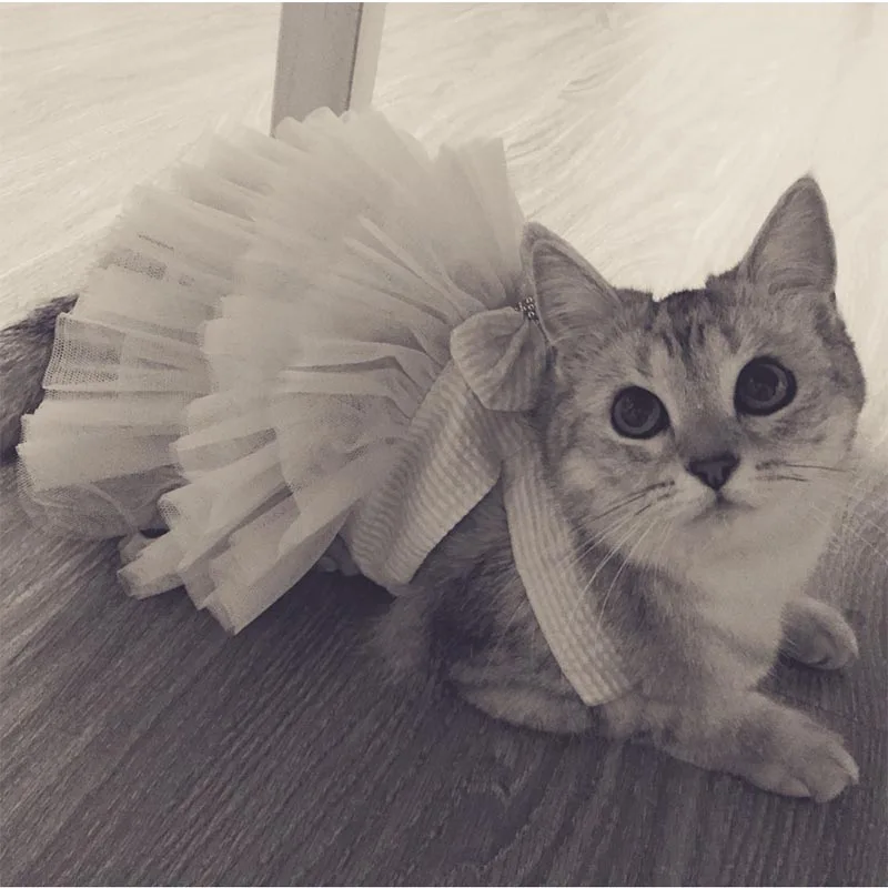 Cute Pet Dresses For Dog Cat Clothes Summer Cat Clothes Cute Pet Dresses For Dog Cat Clothes Summer Cat Clothes