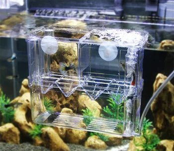 

Breeding hatching isolation box delivery room for tropical fish juvenile betta