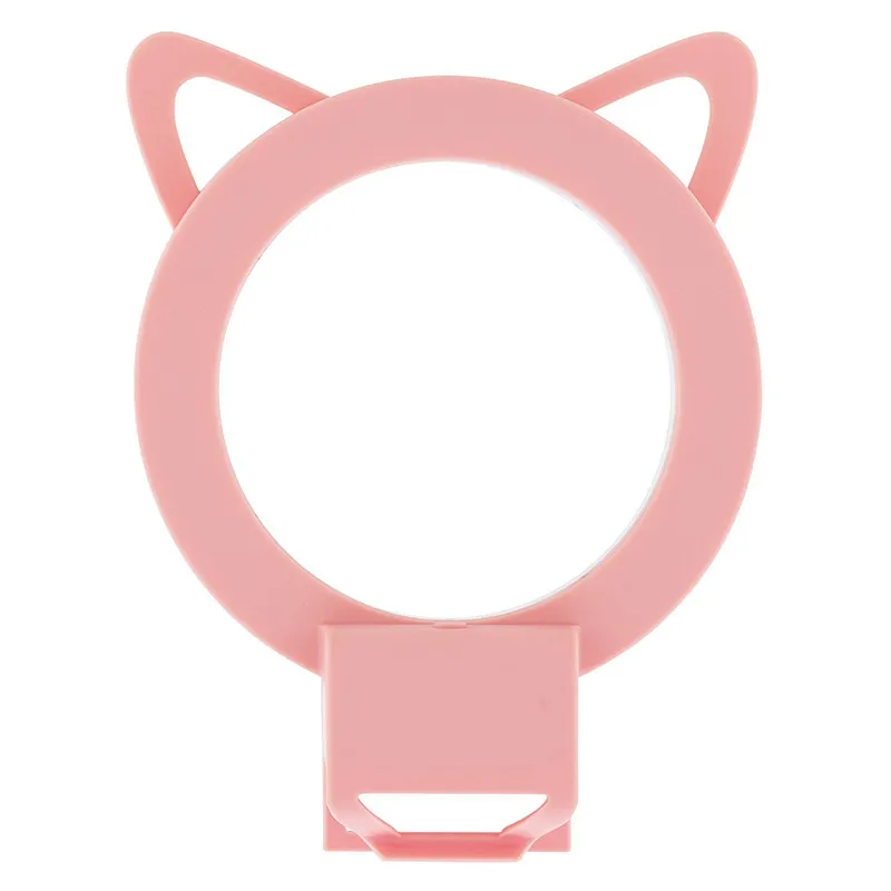 (11)