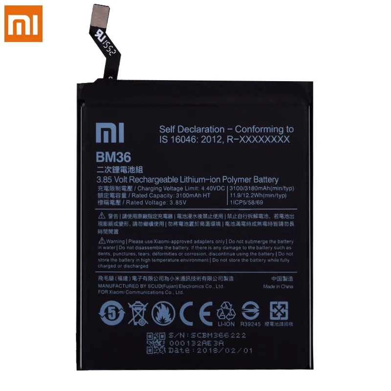 BM36 (1)
