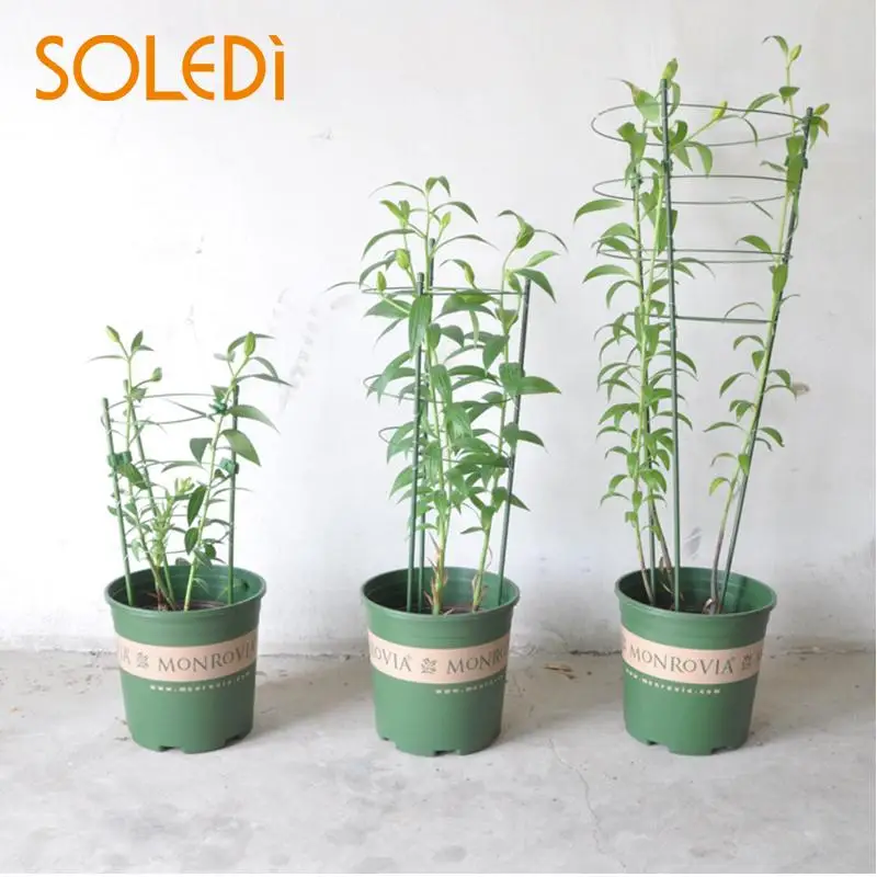 

Metal Flower Plants Climbing Rack Garden Yard Vegetable Trees Growing Wall