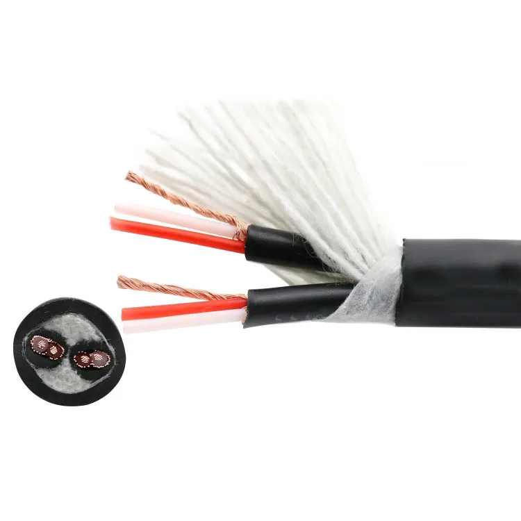 

2 Channel Stage/Studio Microphone Snake Cable