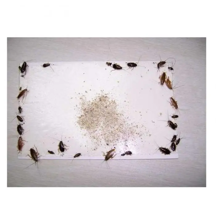 Супер липкая клеевая доска мышеловки жуков пауков тараканов насекомых Ловушка GQ999