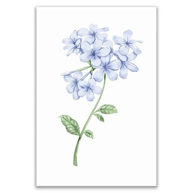 Forgetfulness-Plants-Flowers-Picture-Painting-By-Numbers-with-kits-on-canvas-Draw-Coloring-By-Numbers-Hoom.jpg_640x640 (8)