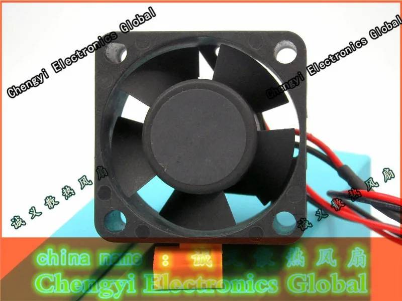 DSCI1381