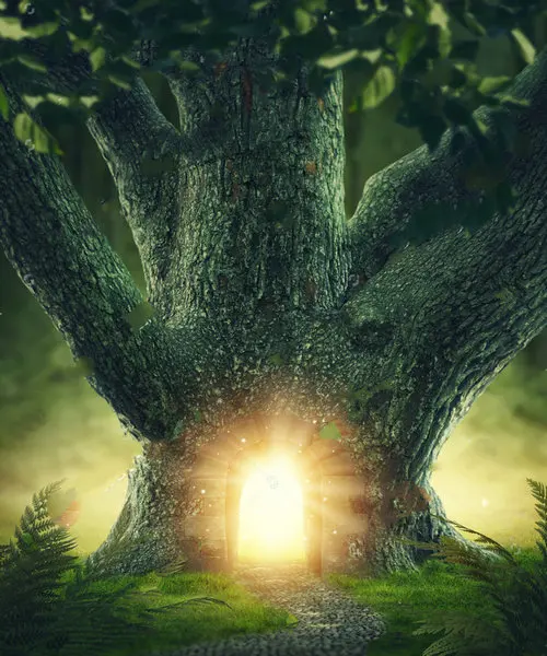 Magic Tree Door Light Gateway Photo Backdrop Vinyl Cloth High