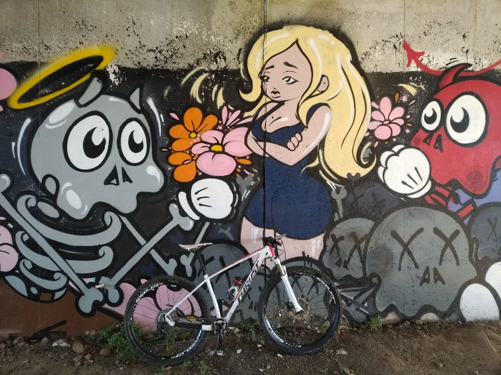 Discount 142*12MM thru axle carbon mountain bike frame 29er complete MTB bike T800 carbon mountain bike 29er 4 Discount 142*12MM thru axle carbon mountain bike frame 29er complete MTB bike T800 carbon mountain bike 29er 4