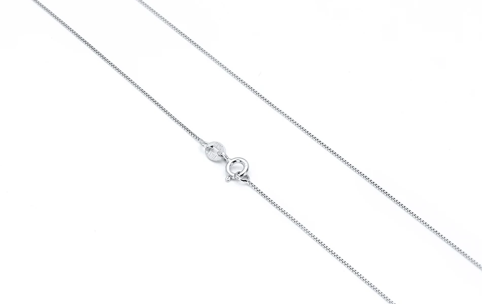 SC07-MAIN-IMG_7143-R