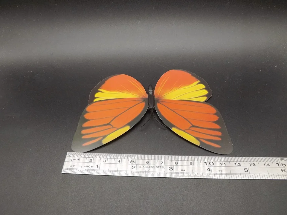 I229-Butterfly (11)