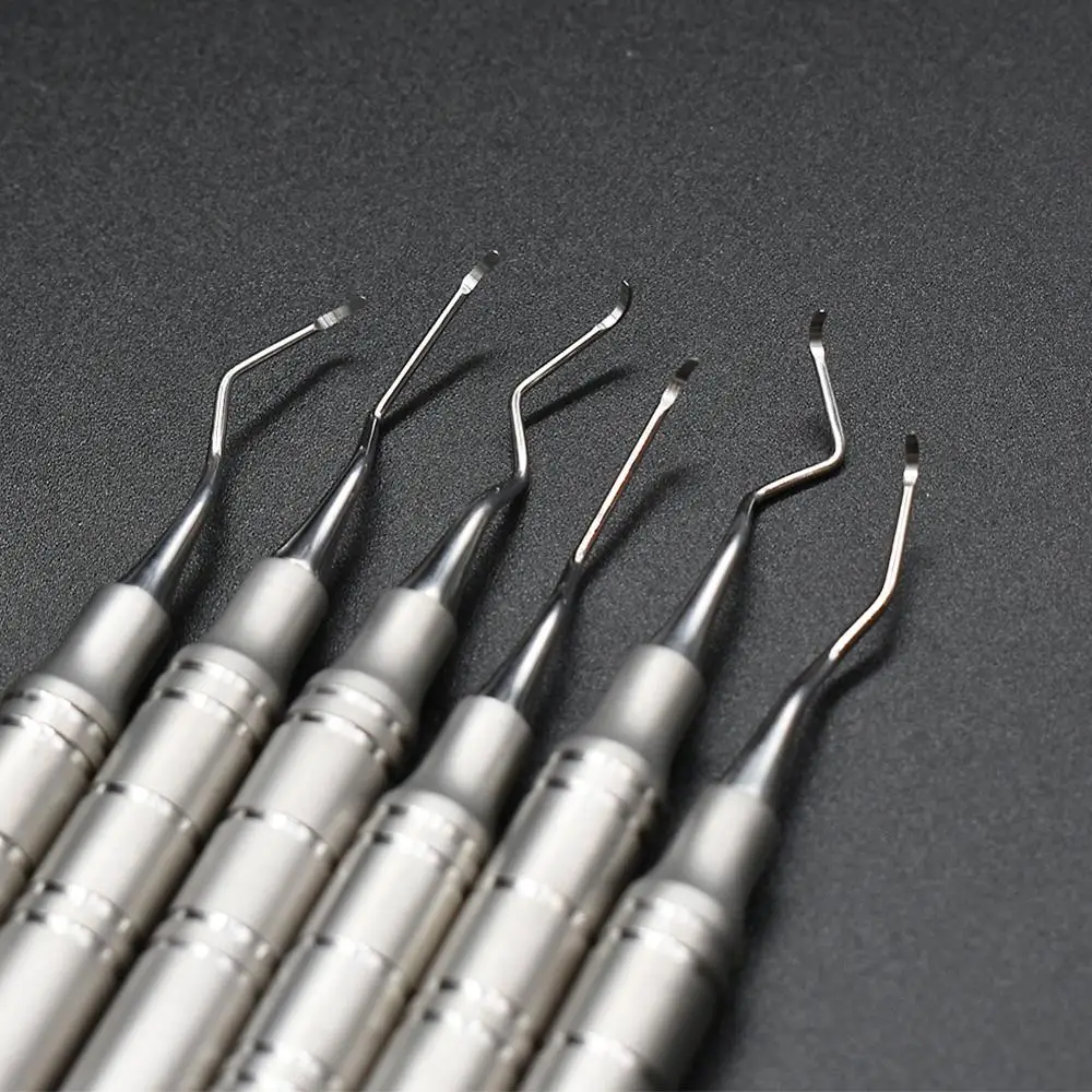 6 pcs Dental scaler scaling instrument Dental lab equipment dentistry with box - AliExpress