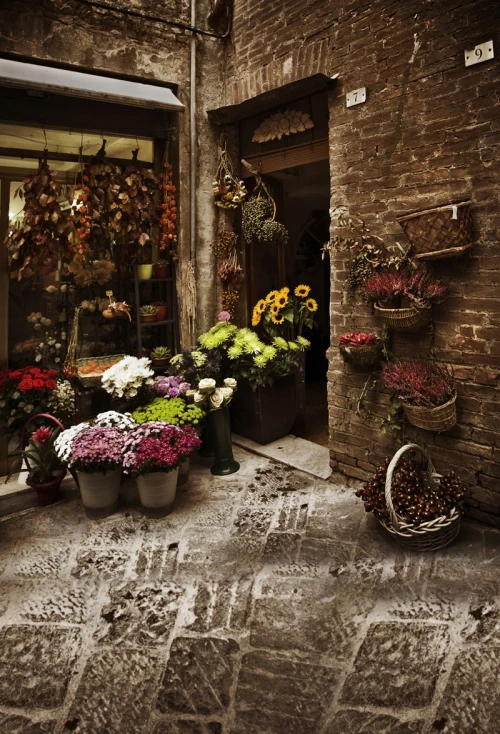 

HUAYI Peeling Brown Brick Wall courtyard printed Photography Newborn Backdrop XT4159