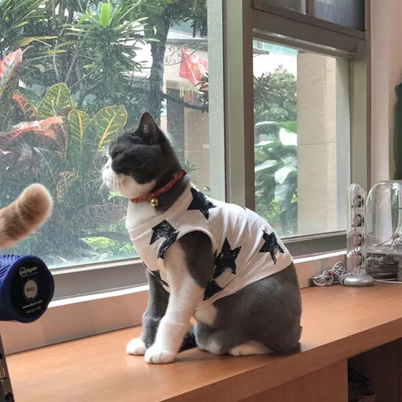 Милый кот одежда сезон: весна–лето Pet Костюмы Cat модная куртка для домашних