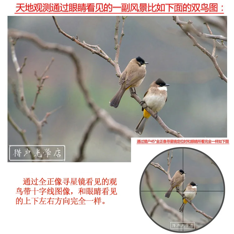  6X30mm Finderscope Eyepiece Double Focusing Embracing Hoop Connection Cross Line Scale Positive Uni