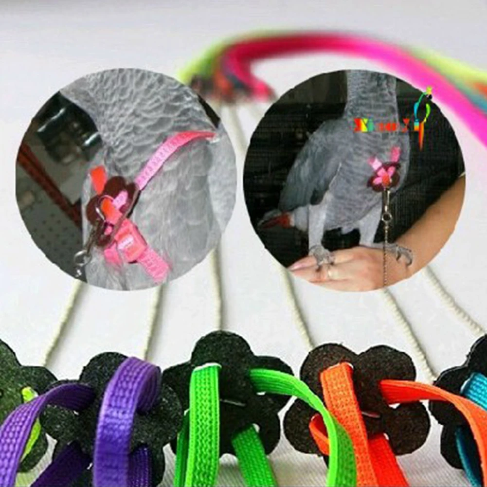 1 шт цвет случайный попугай шлейка для птицы и поводка Регулируемый многоцветный светильник мягкая модная шлейка для птицы поводок для попугая птица