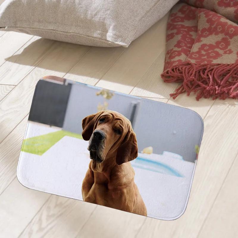 New Home Decorative Front Door Mat Cute pets dog Printed Flannel Anti-Slip Floor Mat Carpet Entrance Doormat Rug 40x60cm doormat New Home Decorative Front Door Mat Cute pets dog Printed Flannel Anti-Slip Floor Mat Carpet Entrance Doormat Rug 40x60cm doormat