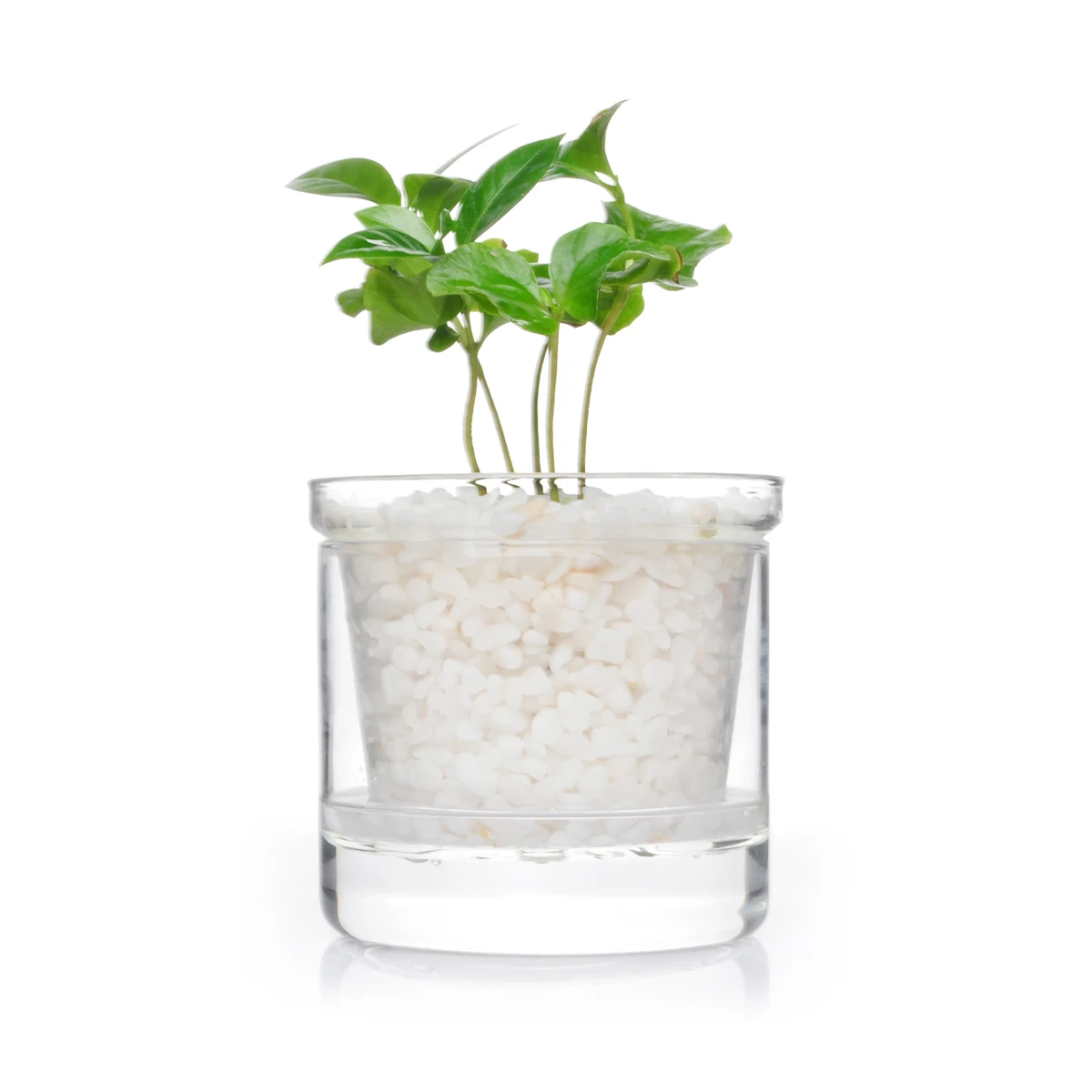 High Temperature Resistant Transparent Portable Double Layer