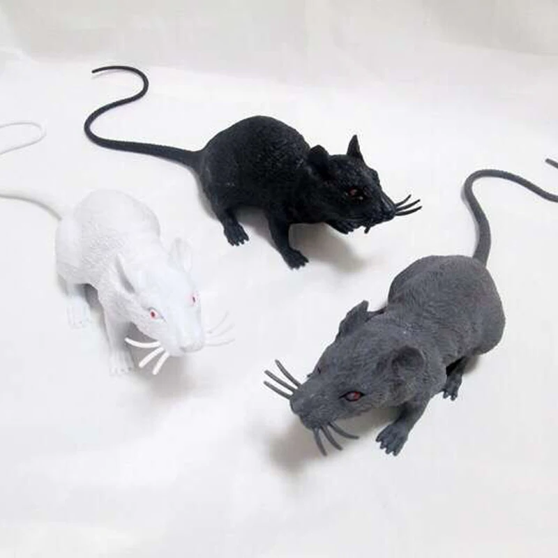 rat 1