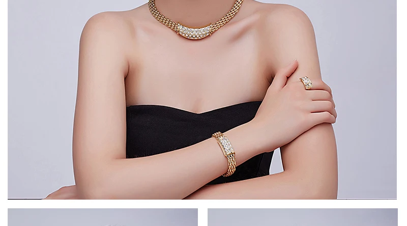 BTSETS Bridal Jewelry Sets Luxury Indian Imitation Crystal Jewelery Sets For Women Necklace and Earrings African Jewelry Set  (2)
