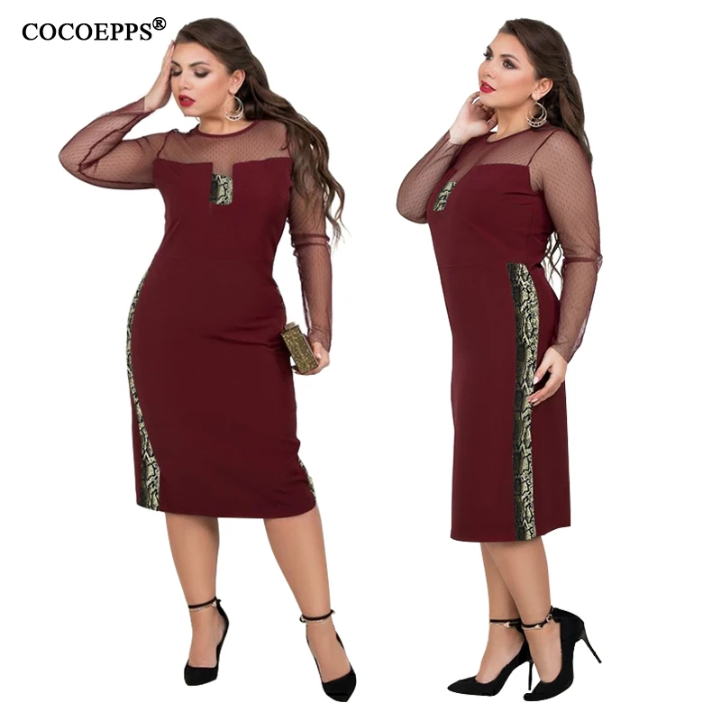 COCOEPPS  14