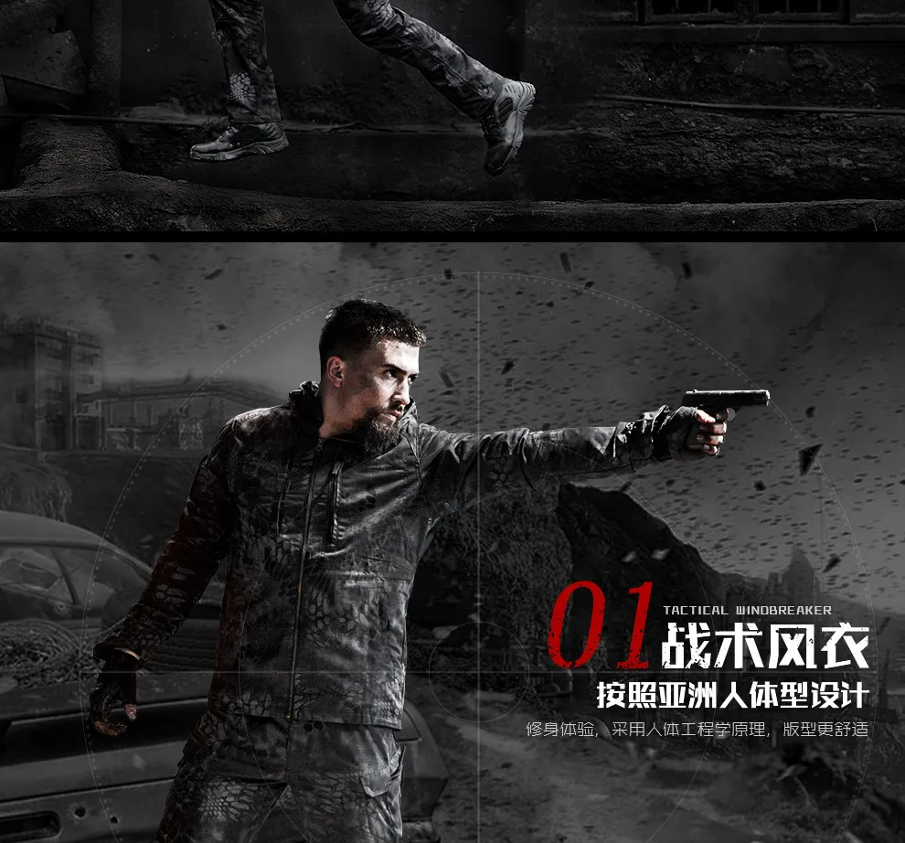 haibao_03