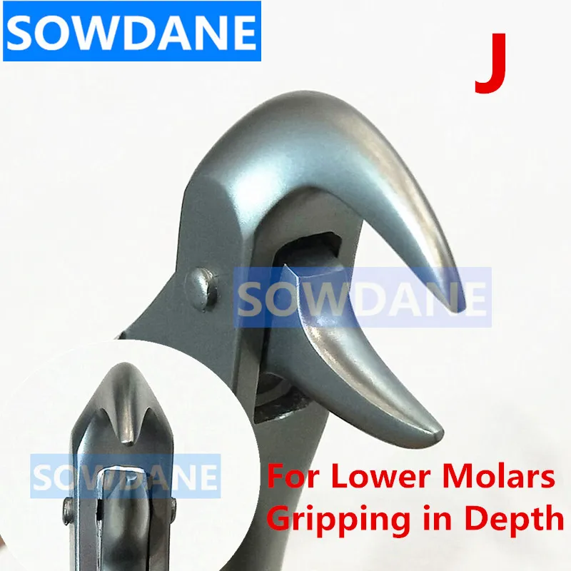 

1 pcs Stainless Steel Dental Adult Tooth Extraction Plier For Lower Molars Dental Orthodontic Surgery Forcep Tool