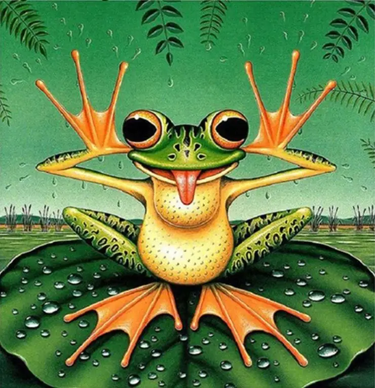 

5D DIY Diamond Painting Frog Rhinestones Mosaic Diamond Embroidery Full Square Round Drill wall crafts decoration room