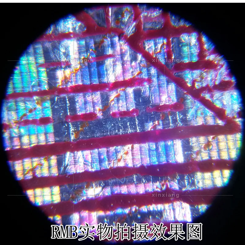 9043483498_1996311318