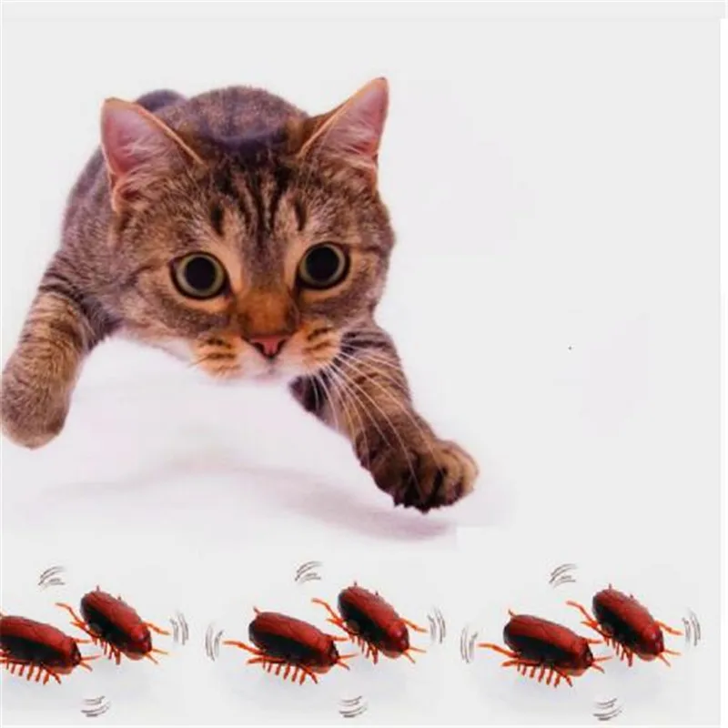 

2019 Dog Cat Toy interactive electronic Cockroach Cat intelligence training Toy Fun Cat Toy interactive training pet products