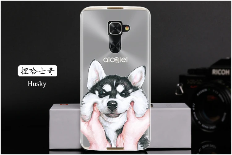  Husky