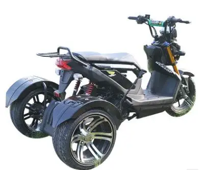 Perfect 60V 1000W Three Rounds of Motorcycle Electric Motorcycles Citycoco Citycoco Electric Scooter Lead-acid Battery 4