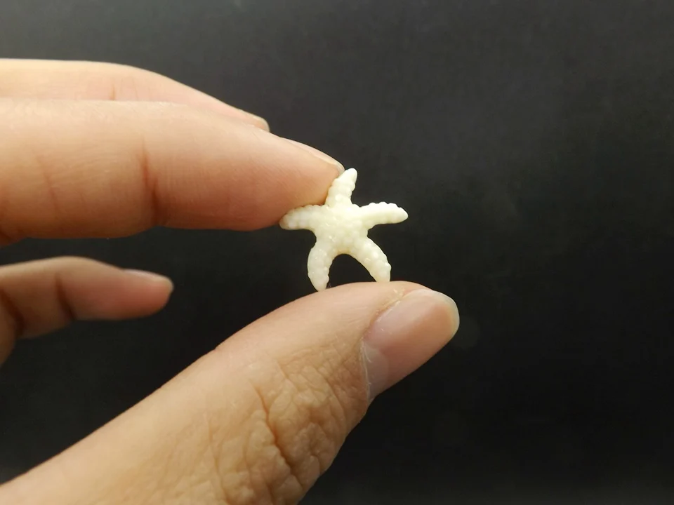 Tiny-A115Starfish (2)