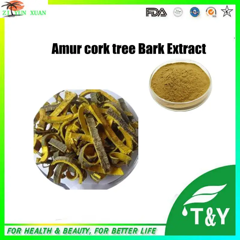 Hot Sale! Phellodendron amurense bark extract/Amur cork tree Bark