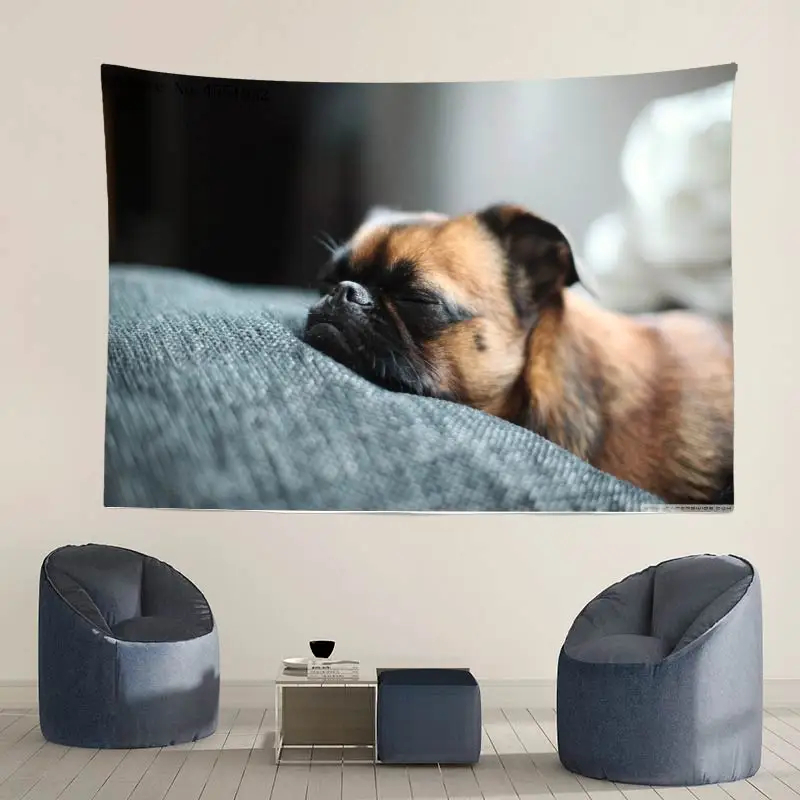 Perky-Pug2