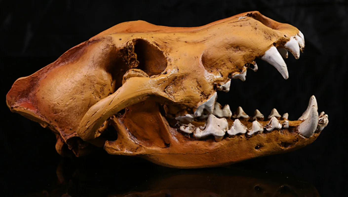 Resin Wolf Skull Replica Head Model Figurine Collection Home Bar Decor