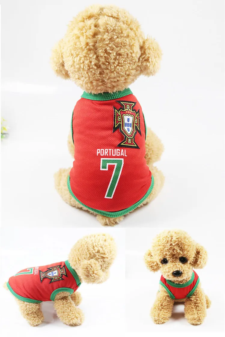 9352765995_1119372358