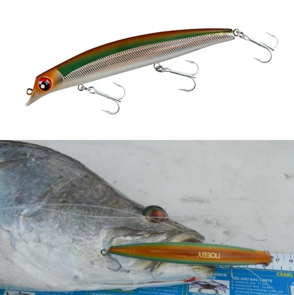 Noeby ساسوكي أسماك إغراء الطعم الثابت باس البحر 120 مللي متر 16g و 150 مللي متر 24g العائمة jerkbait من تصفح باس الصيد السحر Noeby ساسوكي أسماك إغراء الطعم الثابت باس البحر 120 مللي متر 16g و 150 مللي متر 24g العائمة jerkbait من تصفح باس الصيد السحر