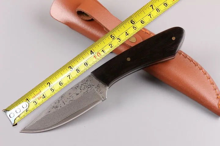 

Small Damascus Collect Fixed Knife Ebony Handle Survival Knife EDC Camping Multi Knives Tool High Quality