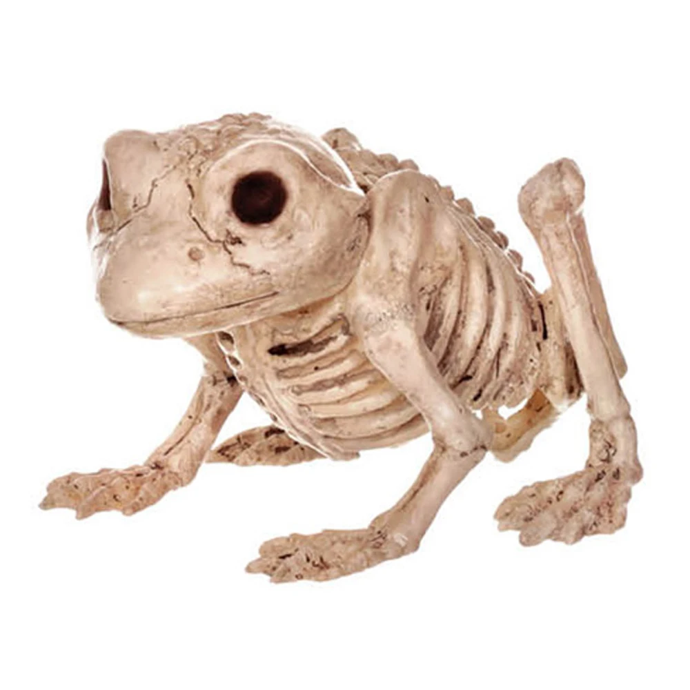 

Halloween Skeleton Frog 100% Plastic Animal Skeleton Bones for Scary Halloween Decoration Haunted Halloween Props