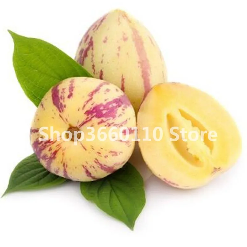 

Sale Promotions 30pcs Rare Seedsplants Bonsai Delicious Pear Fruit plant Easy Grow For Home Garden Germ Bonsai Free Shipping