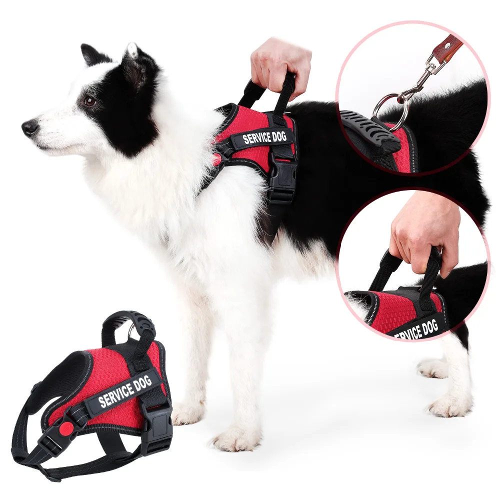

Dihapet No Pull Dog Harness, Adjustable Service Dog Vest, Reflective Easy for Walking Training, Red/Blue/Black