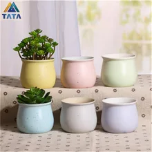 TARTADECO Free Shipping Kawaii Mini Macarooncolor Ceramic Flower Pot Vase Succulent Plants Circular Bonsai Planter TT-CFP-005