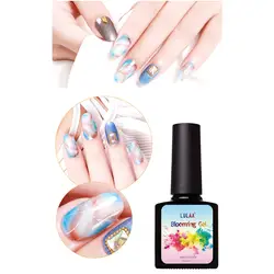 Новое поступление 7,5 мл Blossom Гель-лак DIY Nail Art декоративные цветы Цвет УФ-лак для ногтей длинный гель
