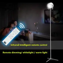 Высокое качество современный краткое светодио дный для LED торшер вертикальная лампа дистанционное управление затемнения торшер лампа для